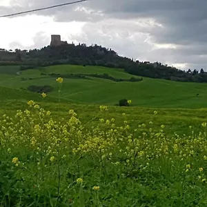 La Casa Del Susino Casa vacanze